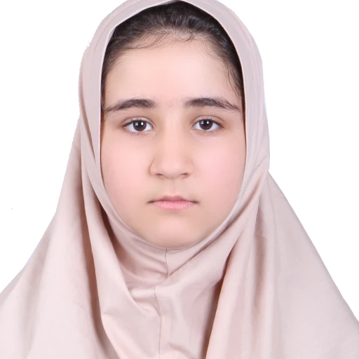 Ava H. Beheshtabad